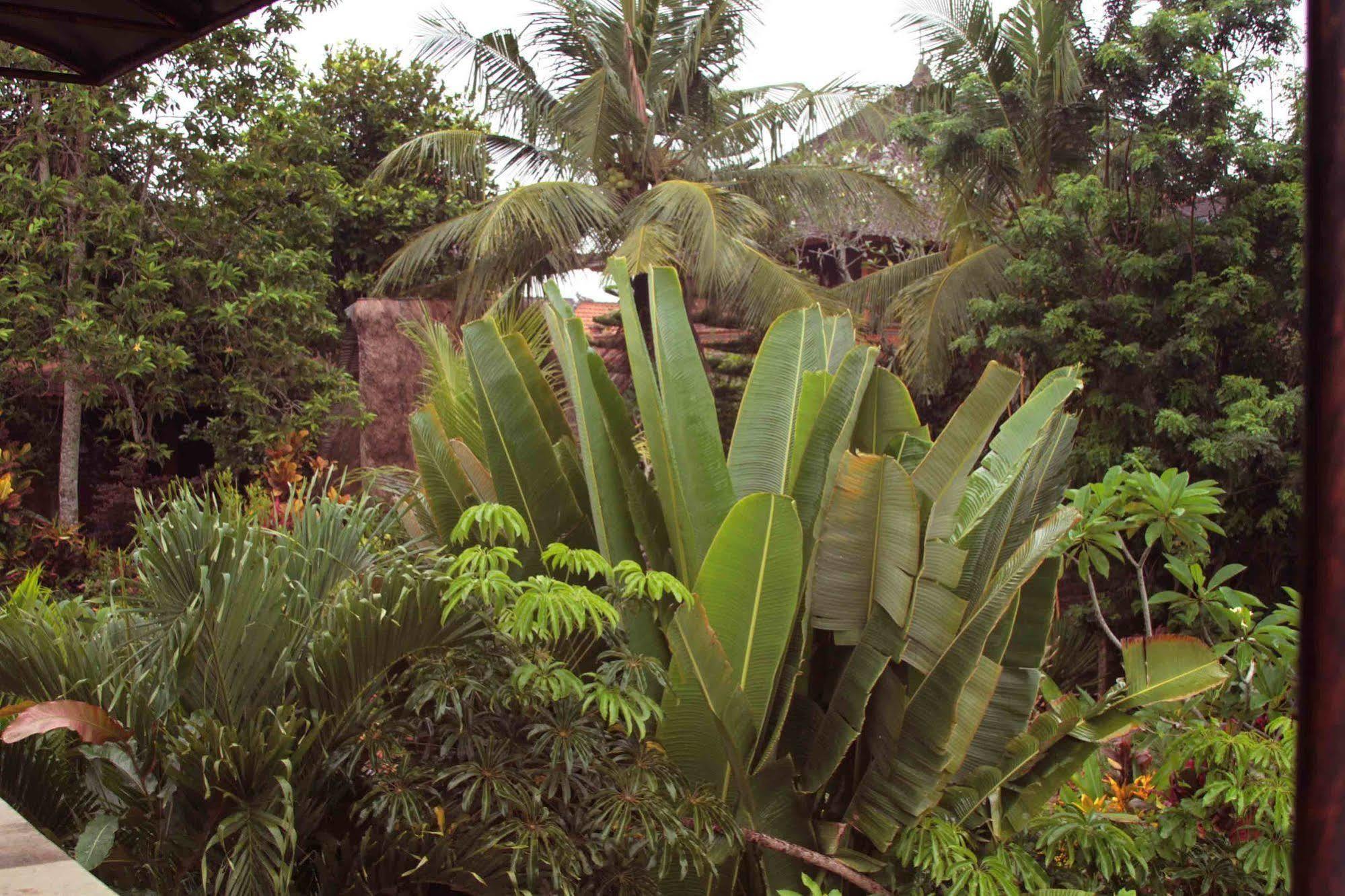 Garden View Hotel Ubud  Exterior photo